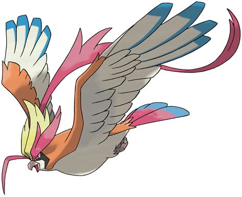 mega pidgeot.